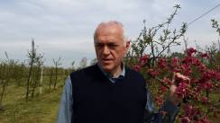 Daniele BASSI