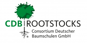 CDB ROOTSTOCKS logo