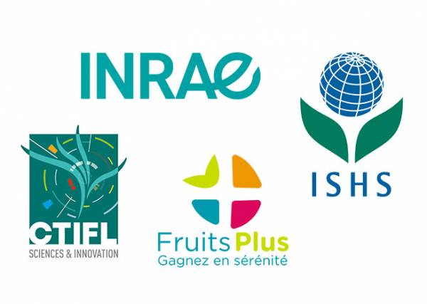 logos INRAE ISHS CTIFL FRUIT PLUS